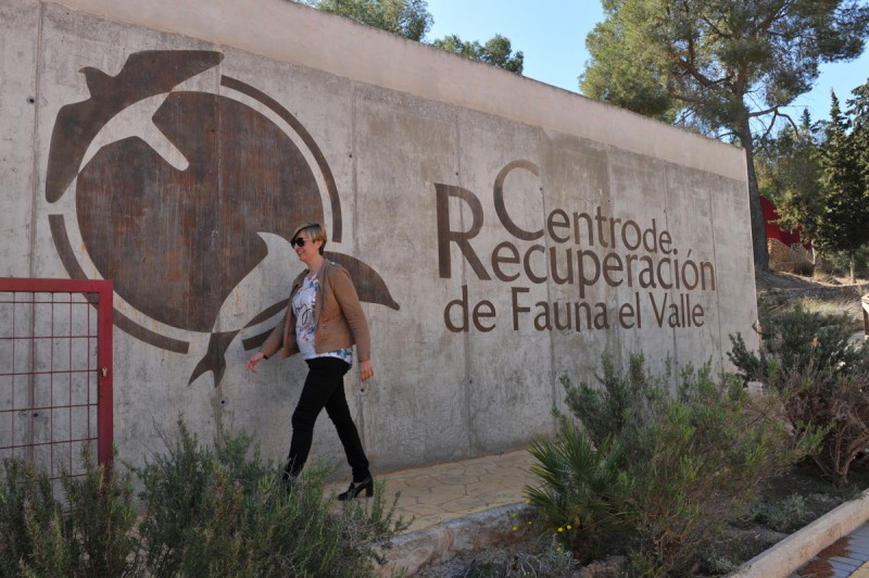 El Valle Wildlife Recovery Centre: Centro de Recuperación de Fauna Silvestre de El Valle