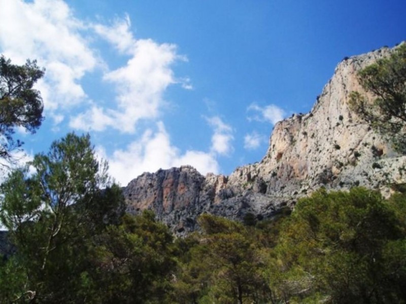 <span style='color:#780948'>ARCHIVED</span> - What's on in Alhama de Murcia 10th to 15th September
