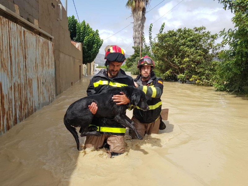 Murcia Gota Fría storm and flooding September 2019: overview