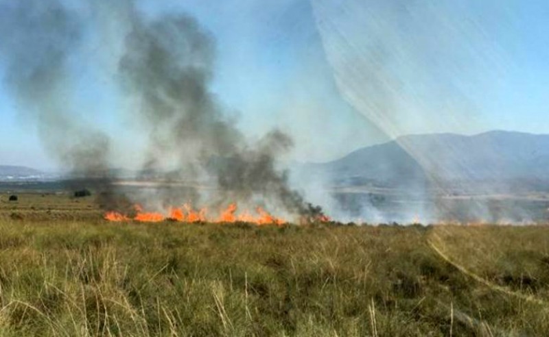 <span style='color:#780948'>ARCHIVED</span> - 3.4 hectares of land scarred by wildfire in Cieza