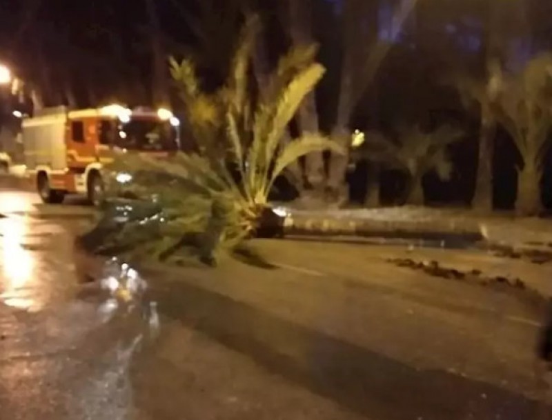 <span style='color:#780948'>ARCHIVED</span> - Four dead across Spain as Storm Gloria batters the region of Valencia