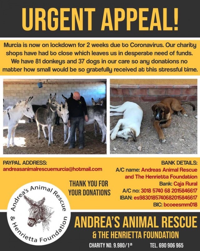 <span style='color:#780948'>ARCHIVED</span> - Our furry friends are in trouble too....abandoned dogs, charities without funds and animals left to starve