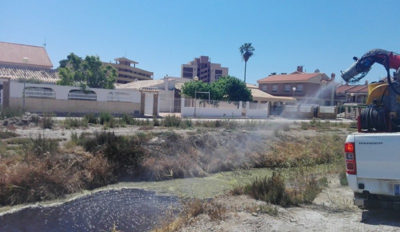 <span style='color:#780948'>ARCHIVED</span> - Mazarrón council fights the tiger mosquito in coastal areas