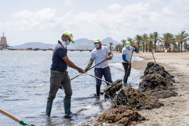 <span style='color:#780948'>ARCHIVED</span> - Weary municipal councils agree to clean deposits from Mar Menor themselves
