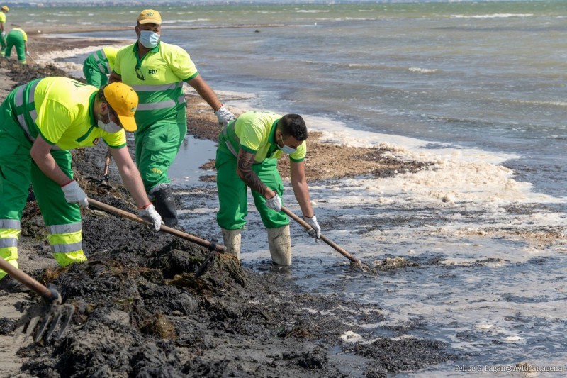 <span style='color:#780948'>ARCHIVED</span> - Cartagena council will commission a report to remove mud and silt from Los Urrutias beaches