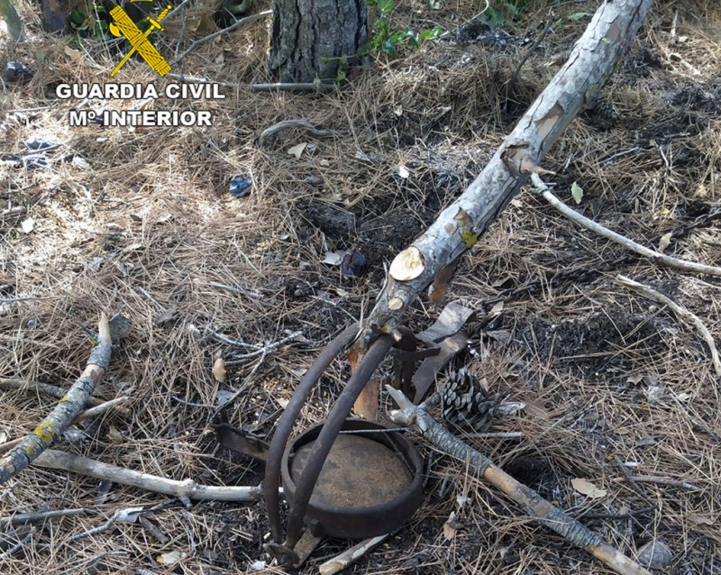 <span style='color:#780948'>ARCHIVED</span> - Two arrested in Ricote after dog is caught in illegal hunting trap