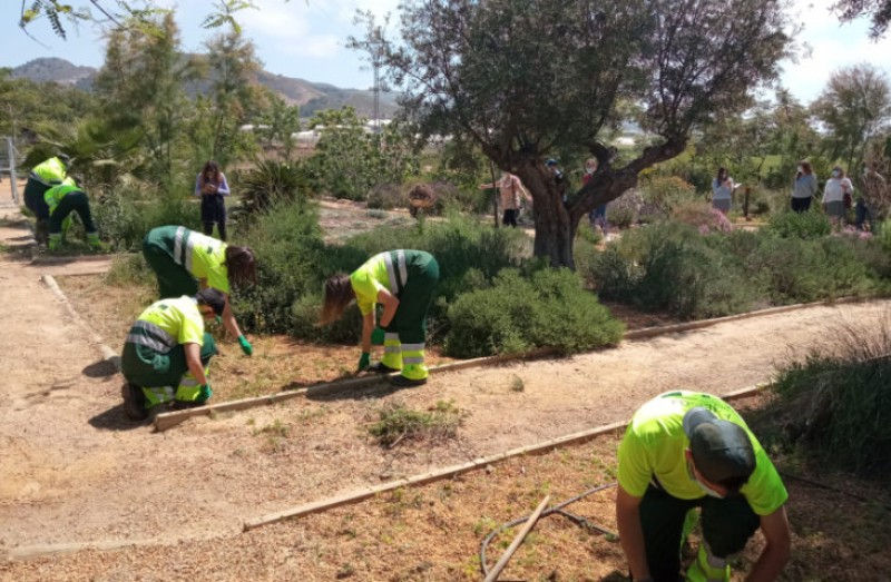 <span style='color:#780948'>ARCHIVED</span> - Work under way to rehabilitate the educational botanic garden of Mazarrón