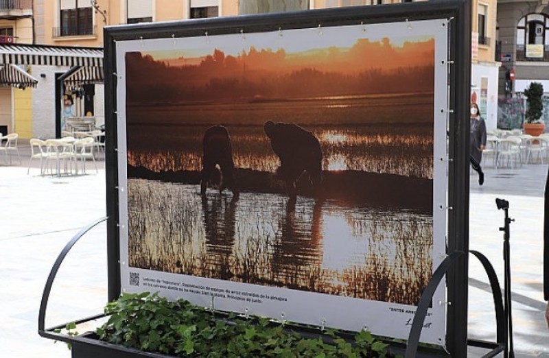 <span style='color:#780948'>ARCHIVED</span> - Open-air Calasparra rice fields photo exhibition in the centre of Murcia: Entre arrozales