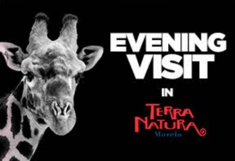 Terra Natura Murcia Evening Visit: every Friday and Saturday June 3-September 3