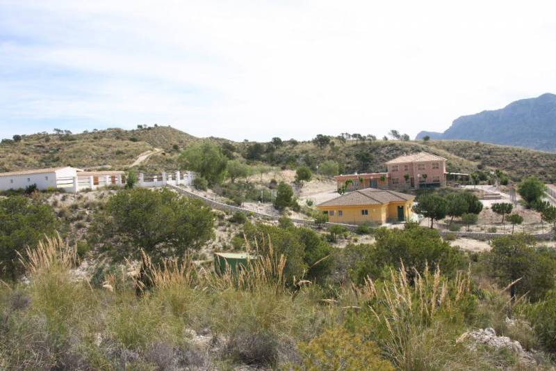 February 26 Free open morning at the Alto del Rellano ecology park in the countryside of central Murcia
