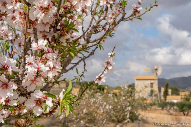 <span style='color:#780948'>ARCHIVED</span> - February 4 and 5 Spring blossom fair in western Cartagena