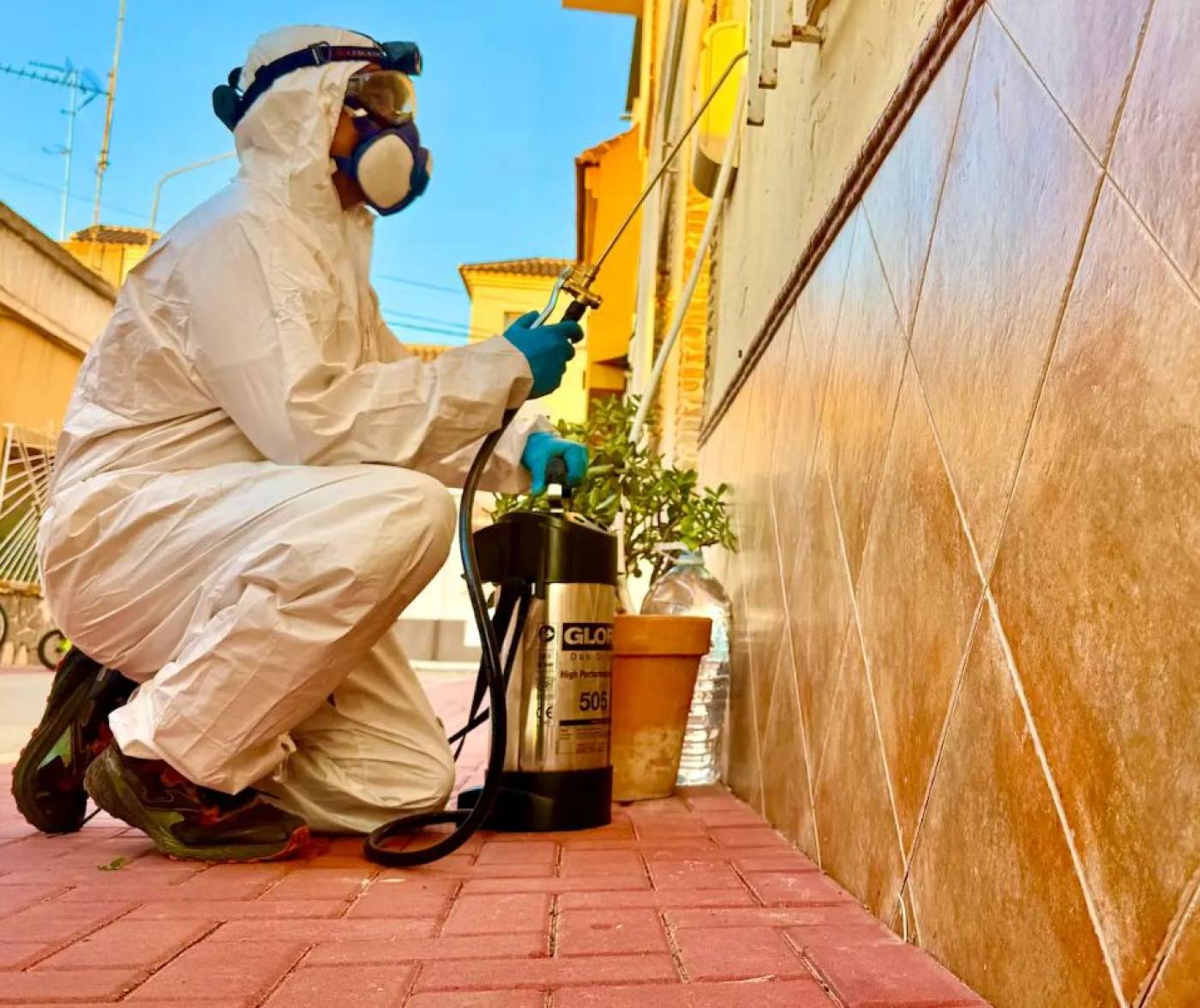 Control de Plagas Levante pest, rat and cockroach extermination in Cartagena, Mar Menor & Murcia