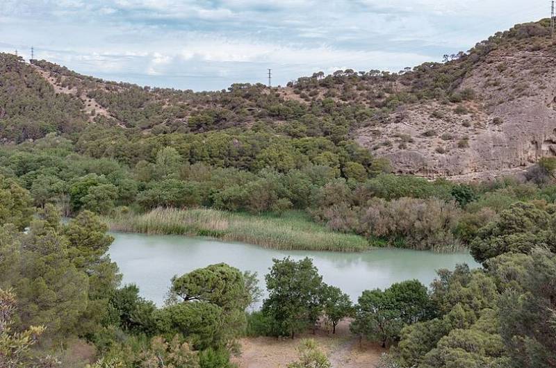 Water restrictions in Málaga eased after heavy rains