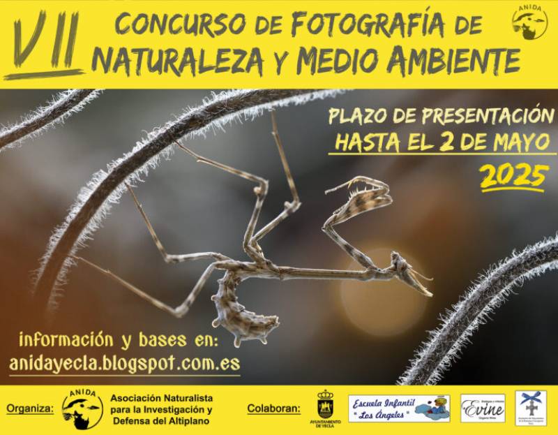 Until May 2 Wildlife and environment photography competition in Yecla