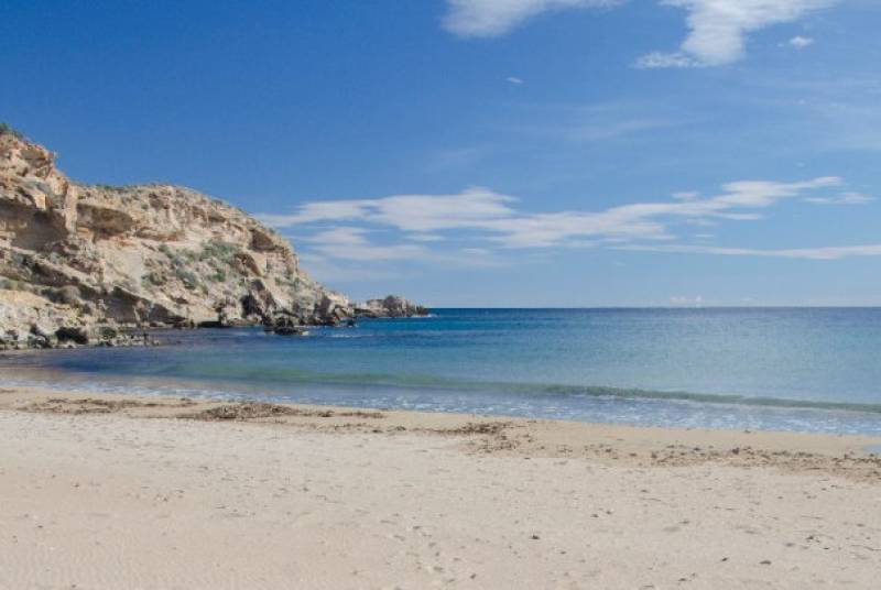 What's on in Águilas June 2025