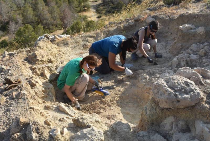 Archaeology digs begin in Alhama at Cabecico Redondo and Las Paleras