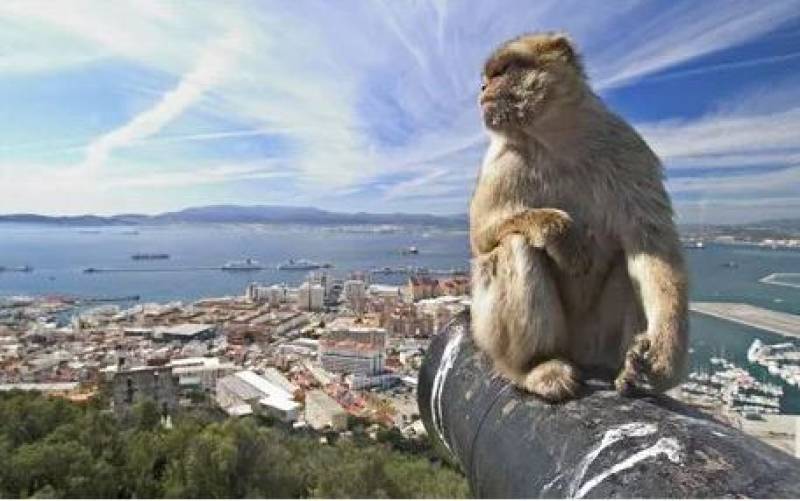 Summer adventures with Taquilla Tickets