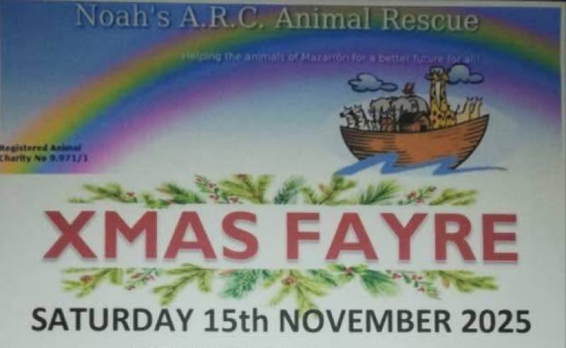 November 15 Xmas Fayre in aid of Noah's ARC Animal Rescue, Camposol