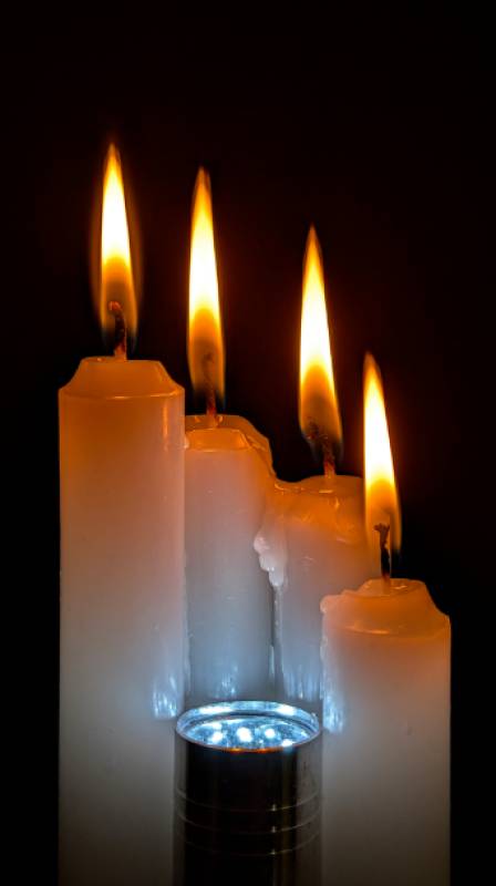 Murcia photo of the month February 2026