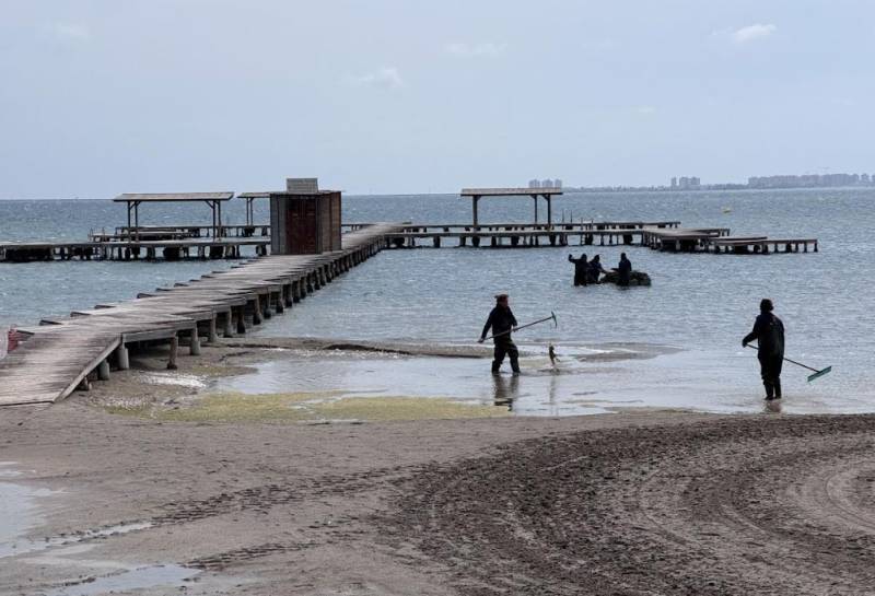 San Javier Mayor praises efforts to reduce biomass from the Mar Menor