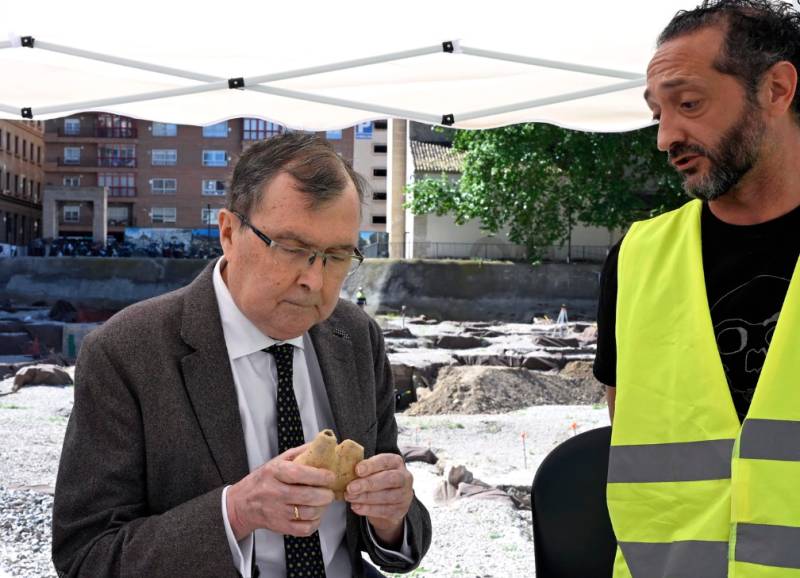 First dromedary remains found in Murcia uncovered at San Esteban