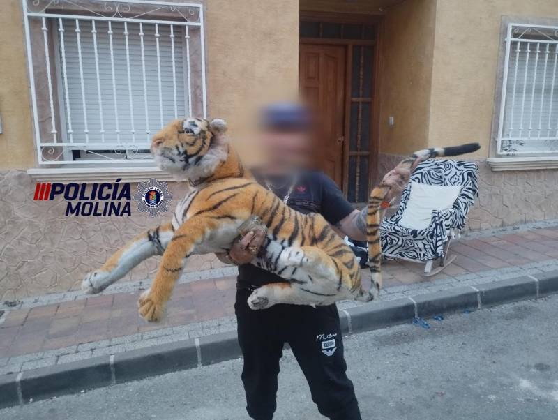 Police called to reports of a 'tiger' roaming rooftops in Murcia