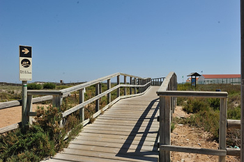 Playa de La Torre Derribada: San Pedro del Pinatar beaches