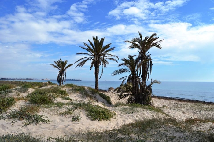 San Pedro del Pinatar beaches: Playa Barraca Quemada