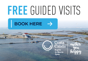 Murcia Turistica Guided Tour MURCIA