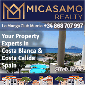 Micasamo Banner 290